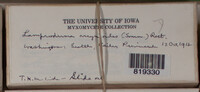 Image Associated With the Occurence